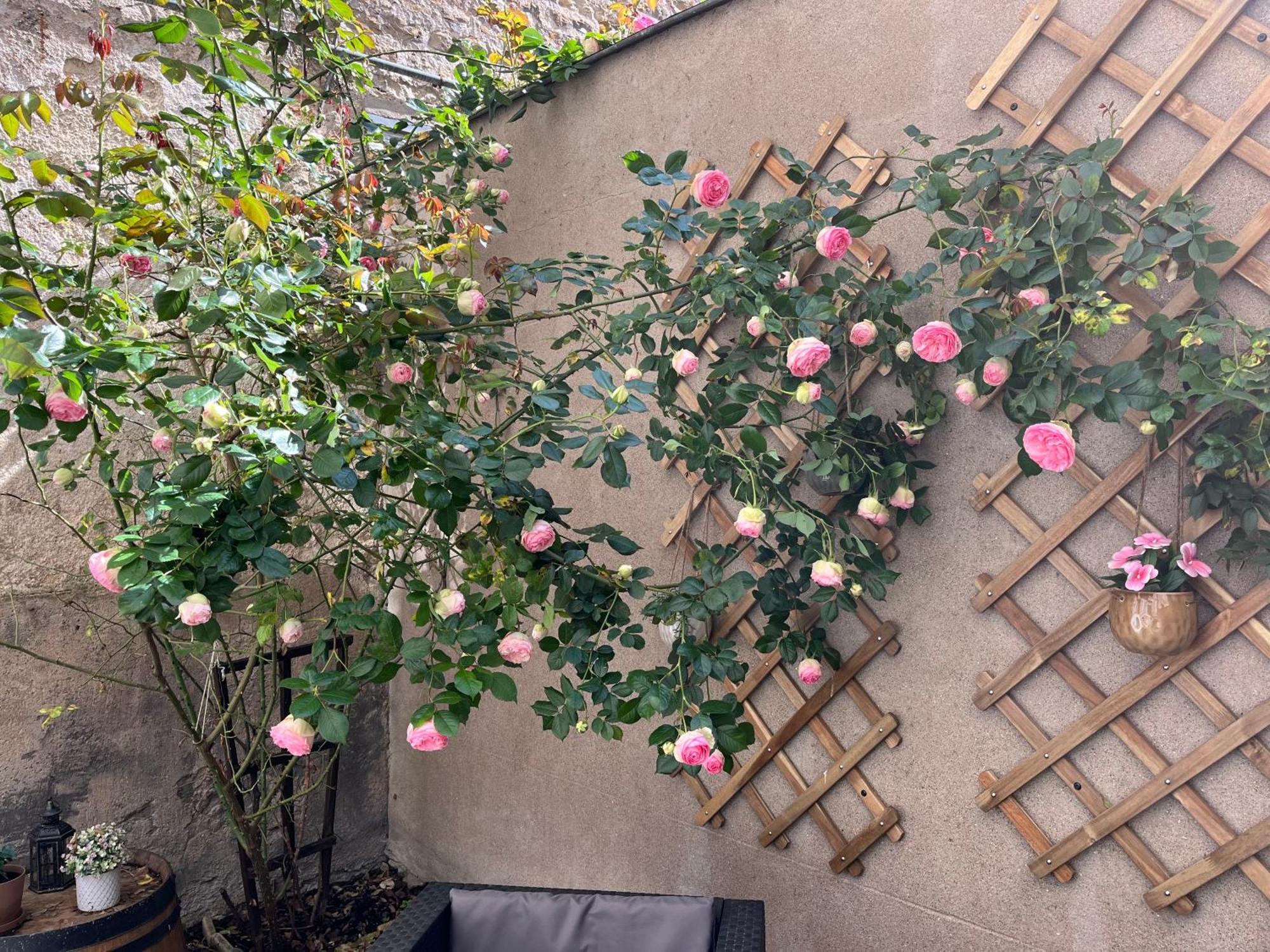 Le Divio - Homillesime Apartamento Dijon Exterior foto